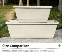 Nouvelle jardinière Holun, pot rectangulaire en plastique, idéal pour la culture de légumes et la plantation de plantes succulentes à la maison