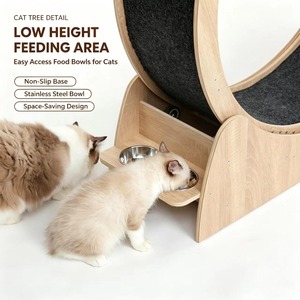 Roue d'exercice pour chat en bois naturel avec abri et gamelles, tapis épais, piste silencieuse, équipement <span class=keywords><strong>de</strong></span> fitness intérieur pour animaux <span class=keywords><strong>de</strong></span> compagnie - Product Image 5