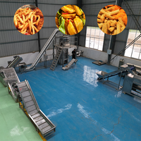 Multifunctionele geïntegreerde friteuse en snelvriesmachine voor de voedingsindustrie, voor snelgevroren knapperige fruit en groenten