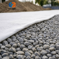 Tissu géotextile non tissé en polypropylène 300 g/m² pour la construction routière, le drainage, la filtration, la séparation des sols et le renforcement