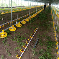 Balles en acier pour élevage de volaille, équipement automatique, poêle à frire, ligne d'alimentation