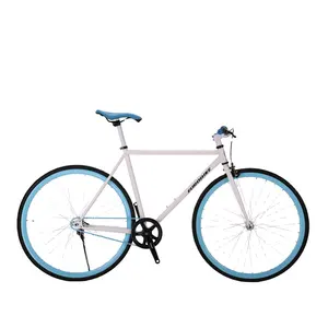 700C 다채로운 fixie 고정 기어 자전거 단일 속도 fixie 자전거
