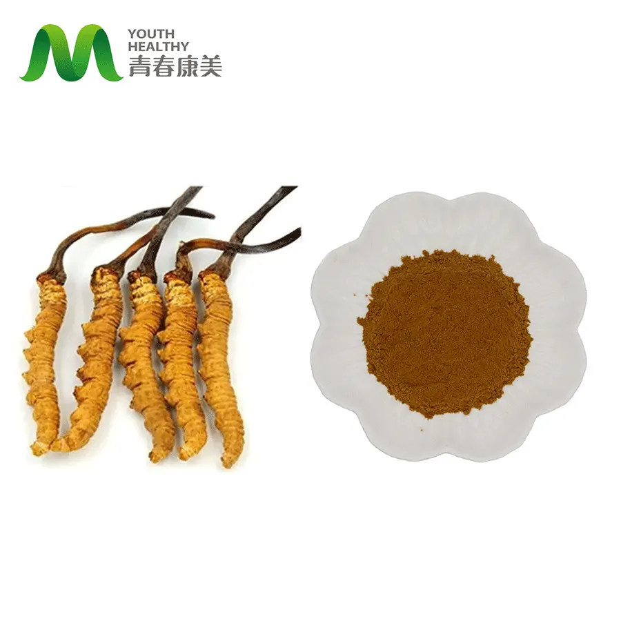 Top Quality Mushroom Extract Brown Yellow Powder Mycelium Yarsagumba Cordyceps Sinensis Extract Polysaccharide 10%-50%