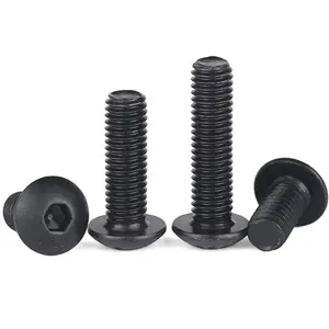 316 thép không gỉ mạ đen bát cắt vít nửa vòng đầu bu lông m3/M4/M5/<span class=keywords><strong>m6</strong></span>/m8/M10 - Product Image 1