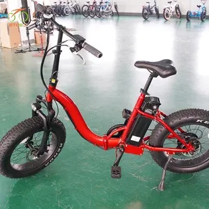 Steed price 18650 rack batterie vélo électrique au Bangladesh e vélos 2022 vélo électrique pour la livraison de marchandises