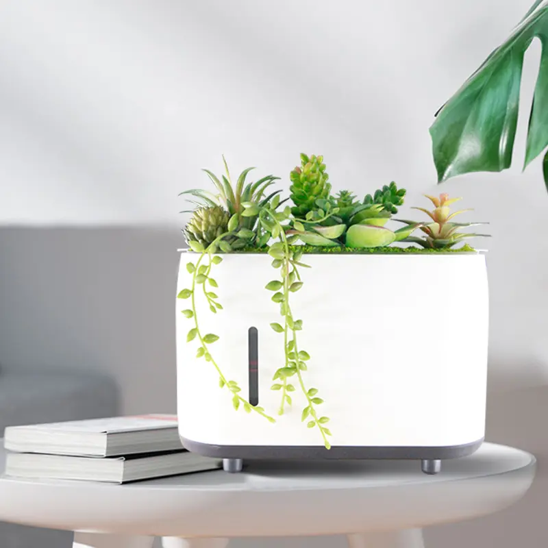 Simulation de plantes succulentes, diffuseur ultrasonique d'huiles essentielles, diffuseur d'arôme, sans eau, humidificateur, parfum, purificateur d'air USB