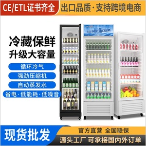 Vitrina Refrigerada Comercial para Bebidas de Foshan Shunde, Una Puerta, 5 Niveles, Sin Escarcha, Enfriada por Aire, Termostato Ajustable - Product Image 4