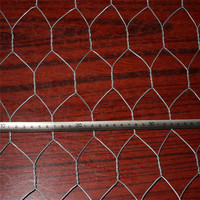 Grillage hexagonal galvanisé à chaud pour clôture de volailles, gabion et protection des pentes