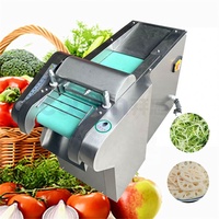 Multifunctionele fruit- en groenteblokjes snijmachine, -snijder en -hakmachine, eenmalig vormgevend apparaat voor groenteverwerking
