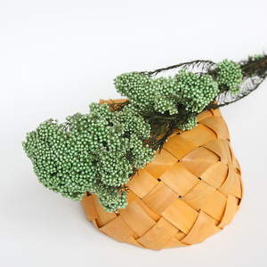 Flor de arroz artificial de alta calidad, flor de arroz <span class=keywords><strong>real</strong></span> conservada, China - Product Image 6