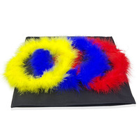 Scène professionnelle guirlande de plumes magiques changement de couleur fête effectuer guirlande connectée Gimmick tour de magie accessoire jouet pour magicien