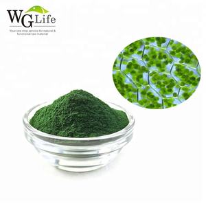 Prix usine Chlorella organique naturelle et poudre de spiruline Protéine de qualité alimentaire pour comprimés/capsules faisant l'emballage de tambour - Product Image 1