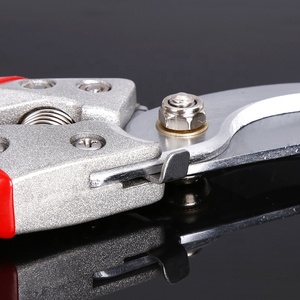 8 inch Deluxe bỏ qua cây chi nhánh Công cụ Cắt pruner vườn cắt tỉa kéo cắt - Product Image 6