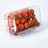 Boîte de rangement transparente pour fruits en plastique PET de 450 g, en forme de coquille, pour raisins et bleuets, avec trous, pour supermarché