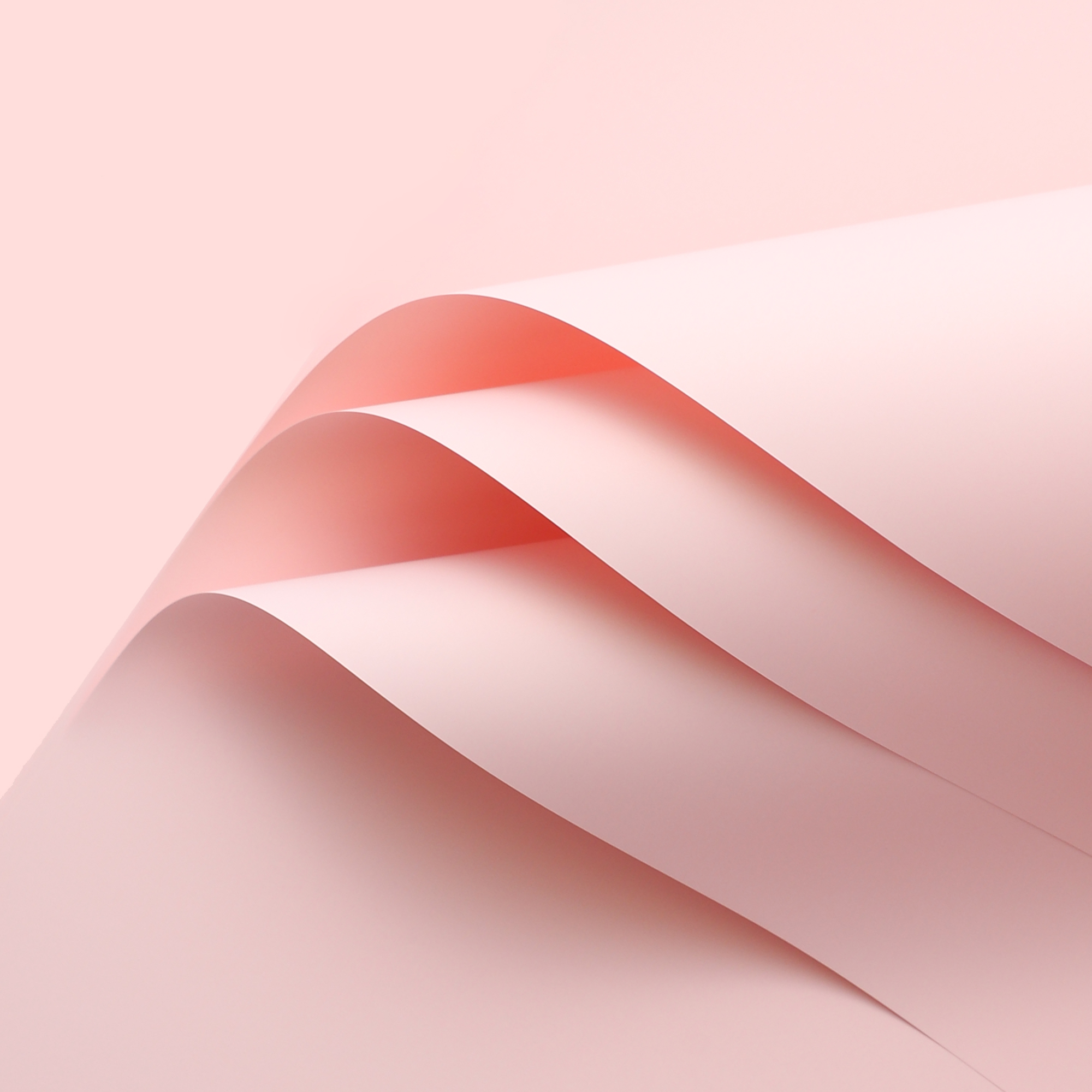 Trendy paper [fruit pink] 20 45*50cm