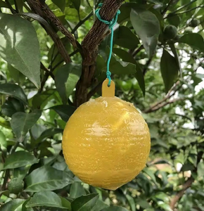 Strong Adhesive Yellow Sticky Trap, Waterproof for All Weather <b>Outdoor</b> Use - Product Image 2