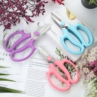 Sécatrices en acier inoxydable, ciseaux à fleurs ergonomiques, sécateurs de jardin pour l'arrangement floral, l'entretien des bonsaïs et des plantes
