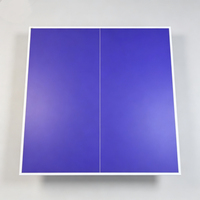 Planche de tennis de table moderne brillante de première qualité, écologique, sans formaldéhyde E0, poncée, garantie 3 ans, vente directe d'usine, MDF