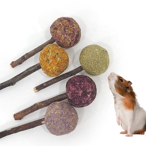Aliments naturels pour animaux de compagnie pour lapin hamster cobaye bâtonnets molaires lapin jouets à mâcher collations cochon d'Inde bâtonnets de pomme nourriture pour lapin - Product Image 2