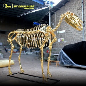 Mijn Dino L-186 Museum Display Levensgrote Paard Skelet Voor Verkoop - Product Image 6