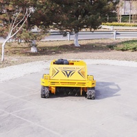 Nouvelle tondeuse à gazon rotative agricole miniature, tondeuse à fléaux robotisée télécommandée à essence pour usage domestique