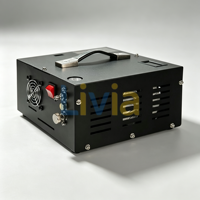 Compresseur d'air électrique portable haute pression 12V DC PCP 220V 4500psi avec transformateur et filtre