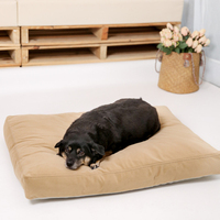 Lit surélevé portable pour chiens et chats, coussin moelleux en peluche, utilisation intérieure en hiver, pour grands chiens, PVC solide, vente en gros