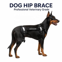 PETSGUARD Orthèse de hanche vétérinaire pour chien en maille respirante de polyester, harnais de soutien de hanche réglable, soulage l'arthrite, simple et robuste