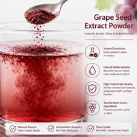 Extrait de pépins de raisin 95% OPC Proanthocyanidines HPLC de qualité alimentaire, poudre brun rougeâtre, fourni par l'usine