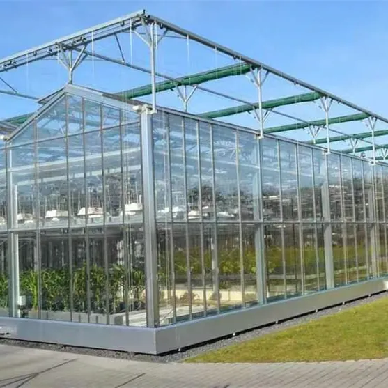 Glass greenhouse Solar greenhouse grows tomatoes