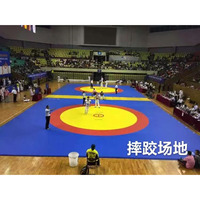 En gros personnalisation grappin dérouler kungfu exercice judo tapis supersafe fitness gym plancher tapis de lutte