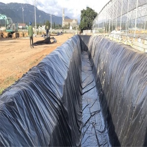 HDPE trang trại mềm geomembrane lót giá tôm cá ao lót trong Kenya - Product Image 5