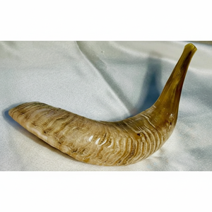 เขาแกะธรรมชาติขัดเงา ชอฟาร์ ของตกแต่งบ้านทางศาสนา เป็นมิตรกับสิ่งแวดล้อม คุณภาพสูง - Product Image 1