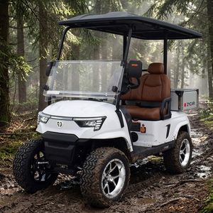 Aluminium Frame Vehicle Club Car 2 Passenger Capacity Buggy Hunting Golf Cart with <b>Box</b> Golf Carts - Product Image 1