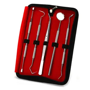 Zahn reinigungs werkzeuge Edelstahl Zahnsc haber Zahnstocher Hygiene set Dental werkzeuge mit Munds piegel Pinzette Kit