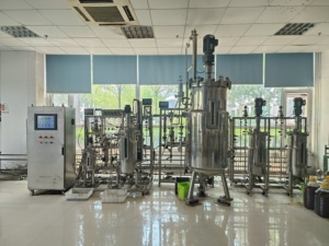 5-50-500L Três Estágio Aços inoxidáveis Mecânica Agitando Bioreactor BLBIO 5-50-500SJA Laboratório Industrial Fermentação tanque - Product Image 3