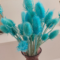 Bunga Teasel Dipsacus Asli Awet Alami, Kepala Bunga Berwarna Pink, Bahan Bunga DIY untuk Dekorasi Pernikahan dan Rumah