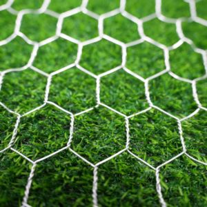 Kim loại sắt mạ kẽm Nhà cung cấp hàng rào lục giác hàng rào lưới gà dây lưới - Product Image 5