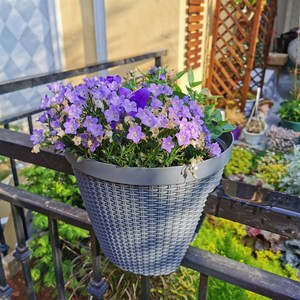 Vente flash : Pots à fleurs suspendus en rotin et en plastique <span class=keywords><strong>pour</strong></span> <span class=keywords><strong>balcon</strong></span>, décoration de jardin intérieure et extérieure, pots colorés - Product Image 4