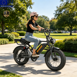 Bicicleta Eléctrica de Montaña HEADEER BK20 250W, Venta al Por Mayor de Fábrica en la UE, Bicicleta Eléctrica Todoterreno y Urbana, E-Bike con Llantas de 20 Pulgadas - Product Image 1