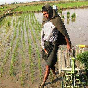 Ручная двухрядная пересадочная машина профессиональная фабрика 2-рядная пересадка риса - Product Image 4