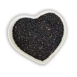 Graines de Quinoa organiques, couleur noire, vente en gros, g
