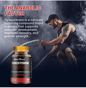 Extrait d'Ajuga Turkestanica de Winstown Daynee, aide à l'hypertrophie musculaire, capsules de turkesterone, complément de turkesterone - Product Image 5