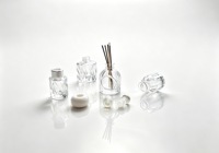 Flacon diffuseur d'arômes élégant en verre transparent sculpté, flacon vide de 50/100 ml pour parfum et bâtonnets diffuseurs