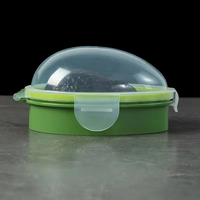 Avocat Boîte De Rangement Cuisine Alimentaire Gain De Place Conteneur Organisateur De Légumes Réutilisable En Plastique Fruits Légumes Conteneurs Verts