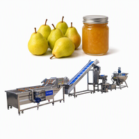 Complete fruitjam productielijn, tomatenpuree verwerkingsmachine, volautomatische jamproductiefabriek