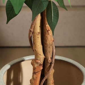 Nhà Máy Giá Lớn nhân tạo 120cm nhựa cây đa cây bonsai cho trang trí trong nhà Vườn thực vật cây đa - Product Image 6