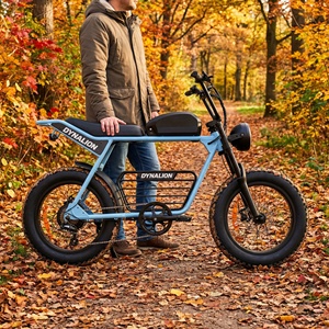Vélo électrique rétro à pneus larges Autumn Trail avec suspension avant, idéal pour les balades en forêt en toute saison - Product Image 2