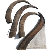 Rouleaux de corne de buffle et de vache sculptés écologiques pour manches de couteaux et de tampons, pointes de corne animale 100 % naturelles