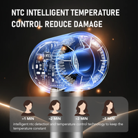 Sèche-cheveux silencieux 110000 tr/min BLDC séchage rapide NTC température intelligente soin hydratant 468g léger buse magnétique sèche-cheveux de voyage